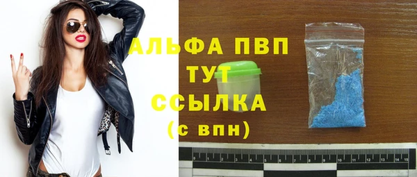 стафф Березники