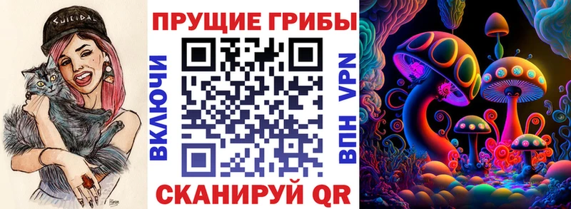 Псилоцибиновые грибы Psilocybe  Ефремов 