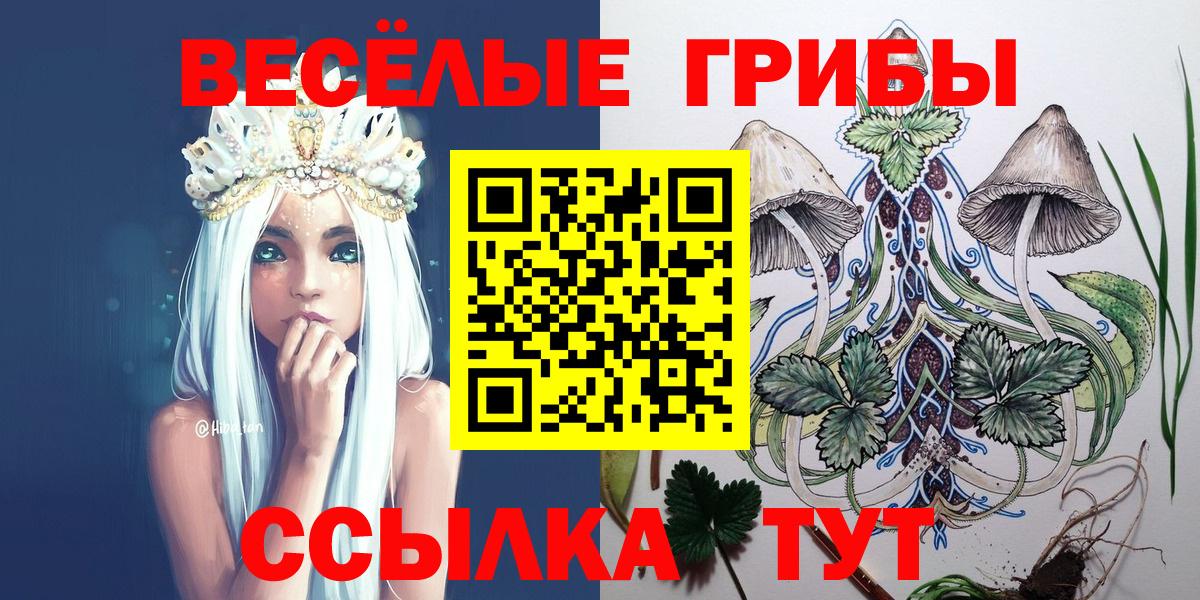 Псилоцибиновые грибы Psilocybine cubensis Ефремов