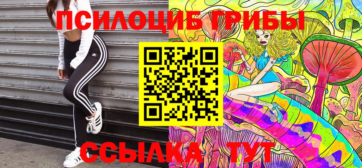 Галлюциногенные грибы мухоморы  Псилоцибиновые грибы Cubensis  Ефремов 