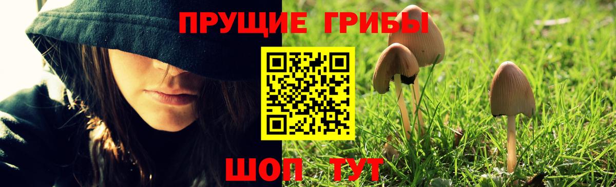 Ефремов  Галлюциногенные грибы Psilocybe  Псилоцибиновые грибы ЛСД  Вход с VPN 