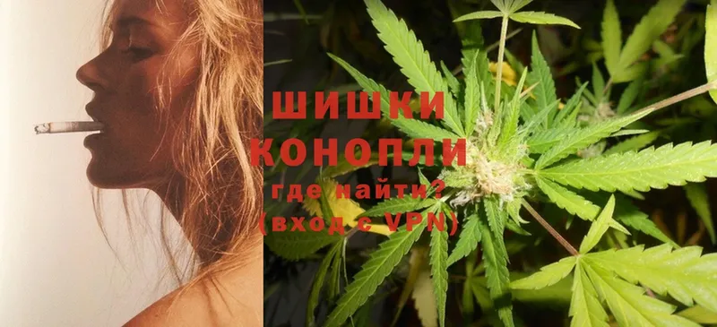 купить наркотики сайты  Ефремов  МАРИХУАНА SATIVA & INDICA 