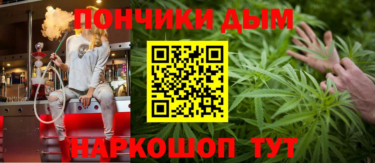 Бошки Шишки план Ефремов
