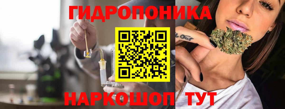 Бошки марихуана семена  Вход с VPN  Конопля Ganja  Ефремов 
